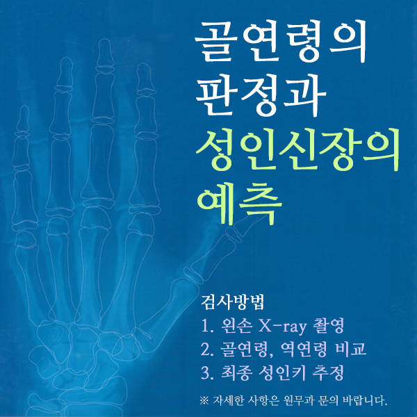 
񿬷  ν   

 
1. ޼ X-ray Կ
2. 񿬷,  
3.  Ű 

ڼ    ٶϴ.
